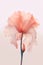 Beautiful elegant floral background with pink ethereal flower on pastel background. Design template for wallpaper wedding