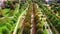 Beautiful Elegant The Regent`s Park Gardens Aerial View in London