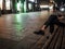 Beautiful elegant women`s legs in black glossy loafers. A woman sits on a bench on a night street in the city in autumn