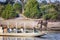 Beautiful elephant in Chobe National Park in Botswana