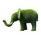 Beautiful elephant shaped topiary on white. Landscape gardening