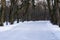 Beautiful empty alley in winter frosty park surrounded with trees. Concept of walkink, healthy lifestyle, leisure, relax and