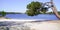 Beautiful empty beach sandy coast and pine tree in Hostens lake southwest France