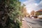 Beautiful empty street in an Israeli city due to virus isolation