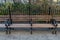 Beautiful Empty Wood Bench at Madison Square Park in the Flatiron District of New York City with a Fence