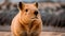 Beautiful Encounter: Closeup Illustration of a Capybara Amidst Nature\\\'s Serenity