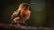 The Beautiful Endangered Rufous Hummingbird - Selasphorus Rufus - Generative AI