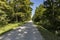 Beautiful endless gravel path leading through the Zutica forest, magnificent woods outside small town of Ivanic grad in Croatia,