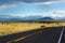 Beautiful endless wavy road in Arizona desert