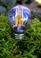 Beautiful energy-saving light bulb on a green background. Economy, ecology.