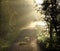 Beautiful English Country Lane