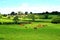 beautiful English countryside landscape in summer near Ludlow in England