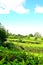 beautiful English countryside in summer near Ludlow in England