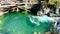 Beautiful Englishman River Waterfalls upper section , Parksville, British Columbia, Canada