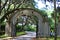 Beautiful entrance to a Spanish moss covered lane