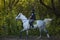 Beautiful equestrian country girl riding horse in the autumn forest