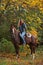 Beautiful equestrian country girl riding horse in the autumn forest