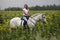 Beautiful equestrian country girl riding horse in the sunflowers fields