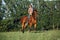 Beautiful equestrian girl bareback ride her horse in woods glade at sunset