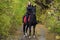 Beautiful equestrian girl ride horseback in autumn forest at sunset