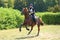 Beautiful equestrian woman riding horseback in green woods glade