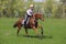 Beautiful equestrian woman riding horseback in woods glade at sunset