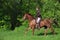 Beautiful equestrian women with galloping horse in woods glade at sunset