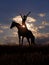 Beautiful equestrian women riding horseback at summer sunset