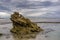 Beautiful eroded rock at low tide on ocean coastline. Stormy weather and low tide