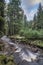 Beautiful ethereal style landscape image of small brook flwoing through pine trees in Peak District in England