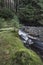 Beautiful ethereal style landscape image of small brook flwoing through pine trees in Peak District in England