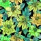 Beautiful euphorbia pulcherrima flower on black background. Seamless pattern. Fabric, wallpaper, bed linen wrapping paper design.