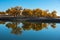 Those beautiful Euphratica trees of Ejin