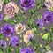 Beautiful eustoma flowers lisianthus with leaves and closed buds on gray background. Seamless floral pattern.