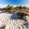 Beautiful evening at the beachside without the water - Assateague, MD, USA