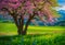 Beautiful evening colorful spring landscape with blooming pink tree on green highlands valley