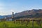 Beautiful evening countryside landscape with vineyard, church and mountains