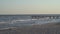 Beautiful evening seascape. View of the old piers, stormy sea and waves near the sandy coast at sunset, seagulls fly. Horizon of t