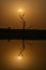 Beautiful evening sun right above the bare tree reflected on the water during sunsets.