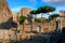 Beautiful evening view of ancient remains of the forum Nerva, ruins of Ancient Rome. Forum Transitorium Nerva.