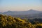 Beautiful evening view of Small and Great Sugar Loafs and wild yellow gorse Ulex flowers seen from Killiney Hill, Dublin