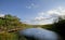 Beautiful Everglades Landscape