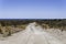 Beautiful example of Guanaco animal living and dwelling in north Patagonia region of Valdes district in Puerto Madryn, Argentina.