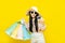 Beautiful excited happy young shopaholic asian woman wearing sungalsses and floppy hat posing isolated over yellow background