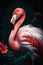 A beautiful exotic bird, a long-necked pink flamingo standing proudly in the water against a dark background with a leaf pattern.