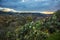 Beautiful and exotic plants over the valley under the cloudy sky in Chelva, Valencia, Spain