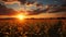 A beautiful expansive view of a cornfield at sunset. AI Generated
