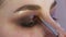 Beautiful expressive eyes of a young female model with bright smoky eyes makeup. Dedicated makeup brush applies