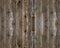 Beautiful extraordinary old wood texture background