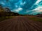 Beautiful eye-level shot of a rural area with a lot of trees and an old house under crazy cloudy sky